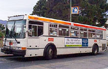 Muni Bus