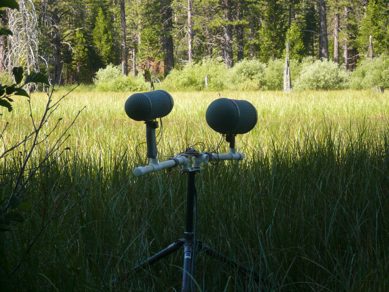 Double MS gregga array at Madora Lake, Plumas County, CA